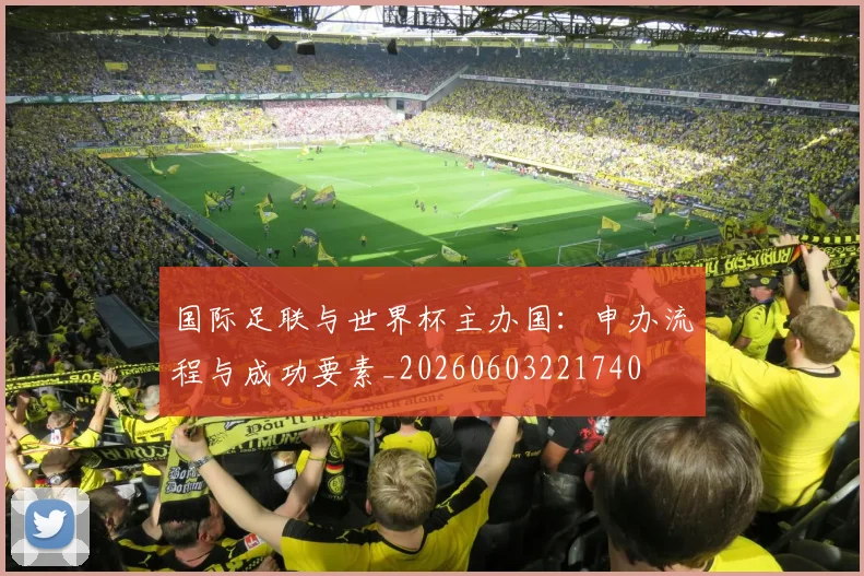 国际足联与世界杯主办国:申办流程与成功要素_20260603221740