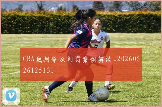 CBA裁判争议判罚案例解读_20260526125131
